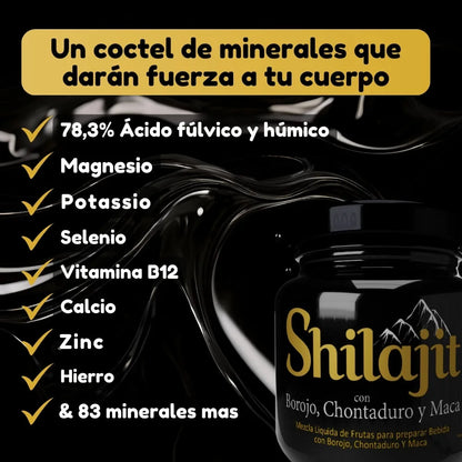 Shilajit Himalaya