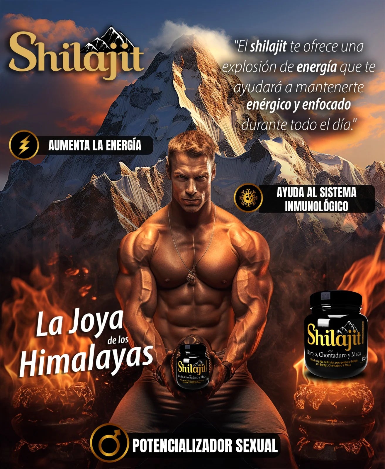 Shilajit Himalaya