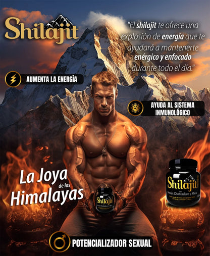 Shilajit Himalaya